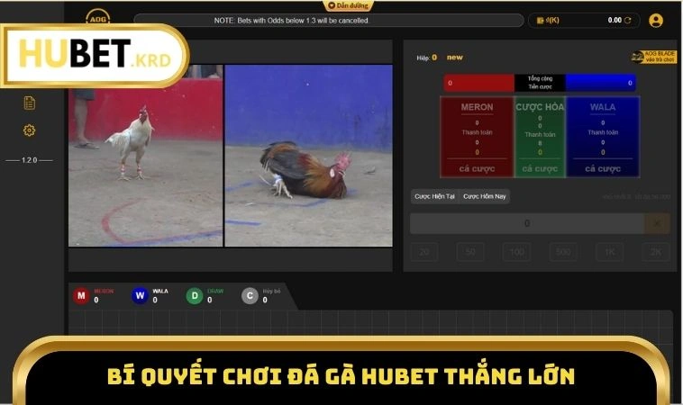 Đá Gà HUBET 3 Bí quyết chơi đá gà HUBET thắng lớn