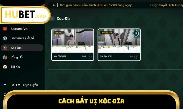 Cách bắt vị xóc đĩa