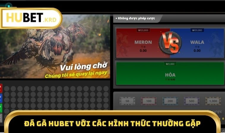 Đá Gà HUBET 2 Đá gà HUBET với các hình thức thường gặp