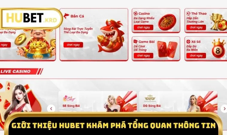 Giới Thiệu HUBET 1 Giới thiệu HUBET khám phá tổng quan thông tin