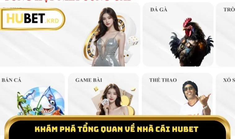 Home 18 Khám phá tổng quan về nhà cái HUBET