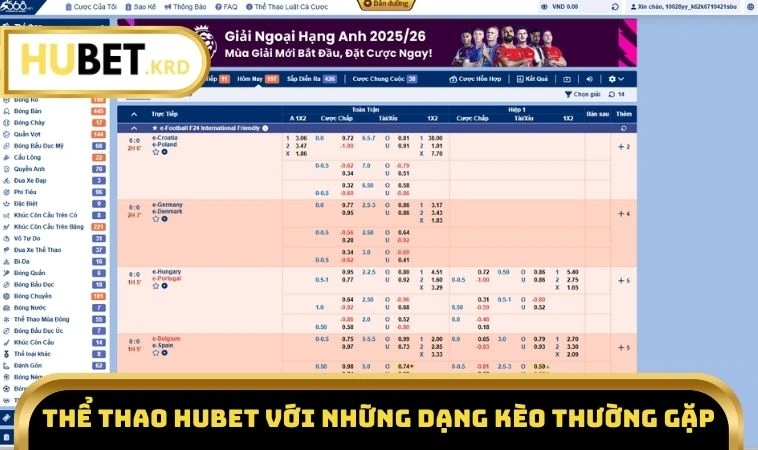 Thể thao HUBET với những dạng kèo thường gặp 