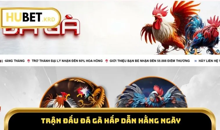 Giới Thiệu HUBET 2 Trận đấu đá gà hấp dẫn hằng ngày